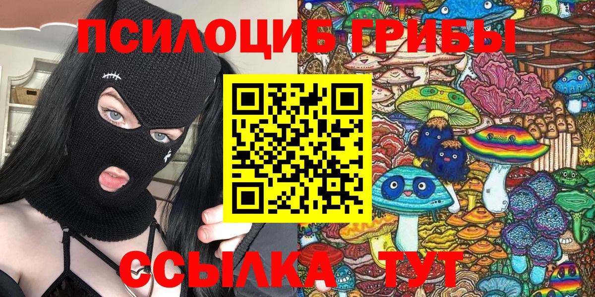 Псилоцибиновые грибы Psilocybe  цены   Менделеевск  Вход с VPN 