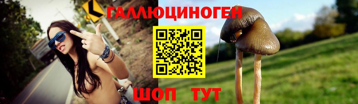 Галлюциногенные грибы Psilocybine cubensis Менделеевск